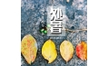 明日處暑，你舍得和夏天說再見嗎？