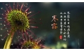 今日寒露 | 裊裊涼風(fēng)動(dòng)，凄凄寒露零